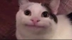 Огоньок