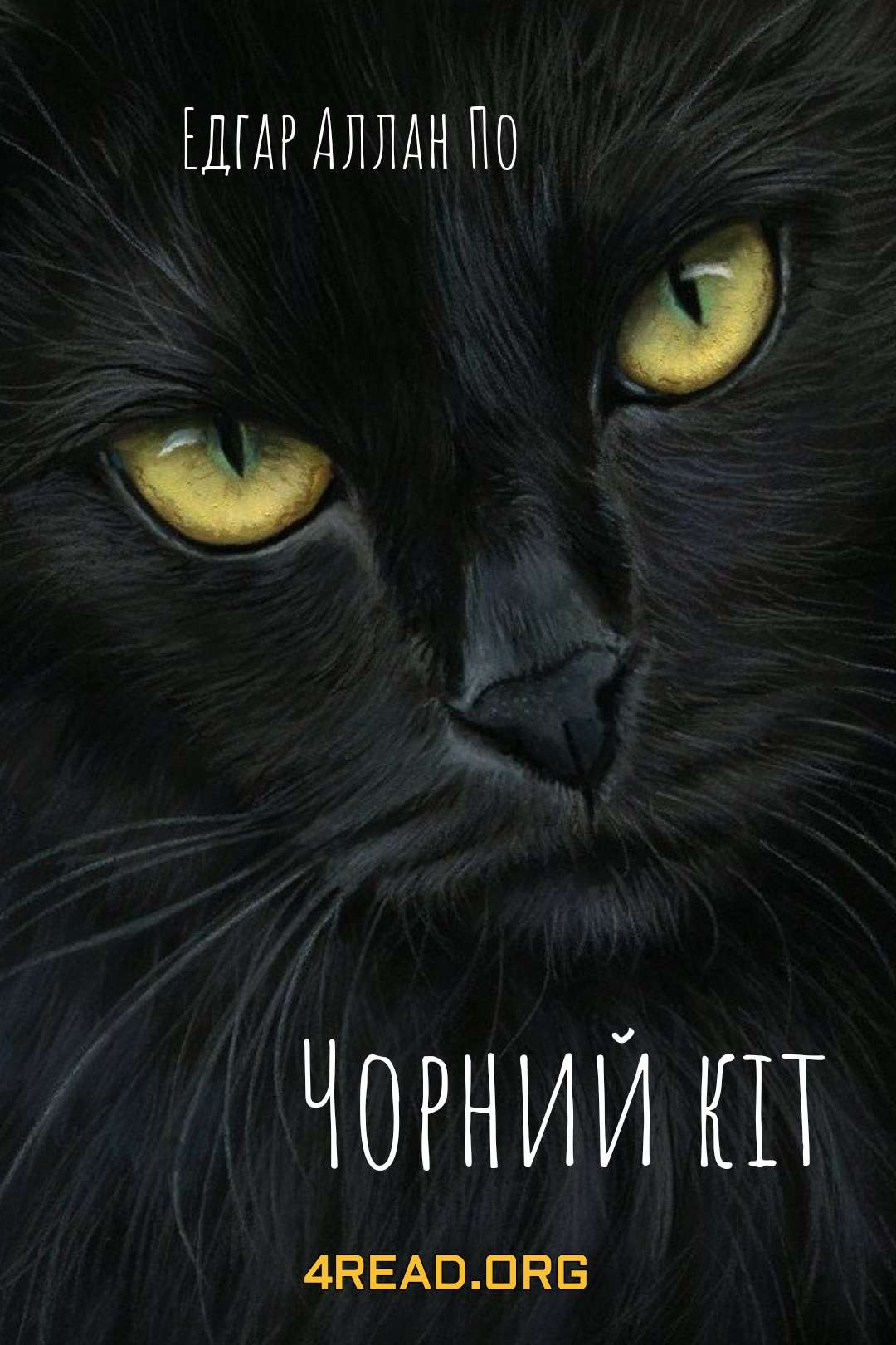 Аллан Едгар ПО - Чорний кіт