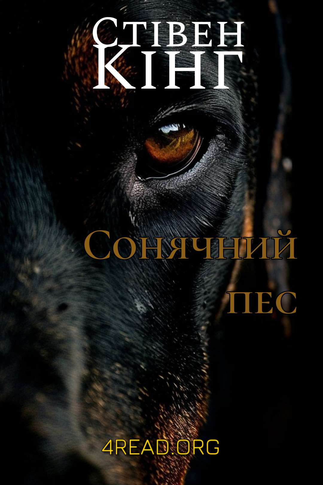 Кінг Стівен - Сонячний пес