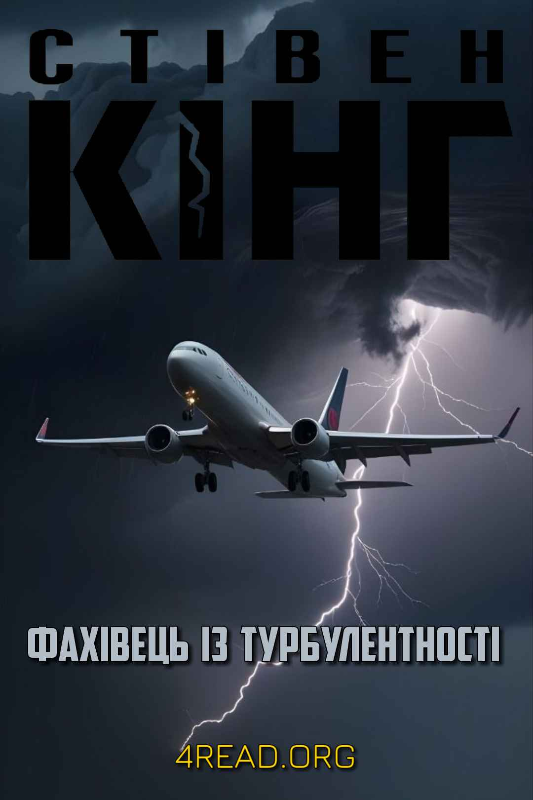 Кінг Стівен - Фахівець із турбулентності