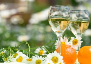 Яке біле сухе вино купити навесні: гайд по свіжих та мінеральних стилях