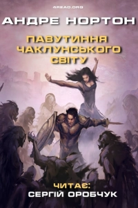 Андре Нортон - Павутиння чаклунського світу